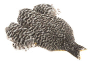 Whiting Hen Cape - Grizzly