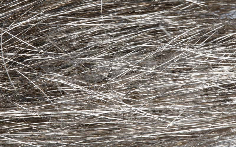 Angel Hair - LT Brown