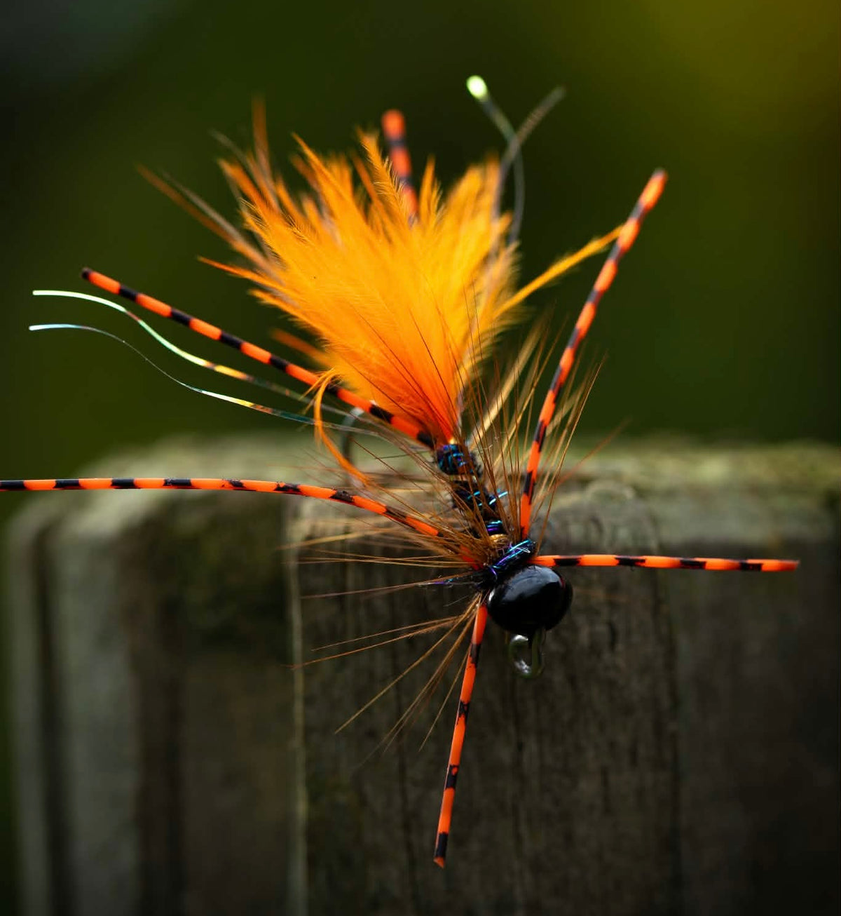 The Court Jester