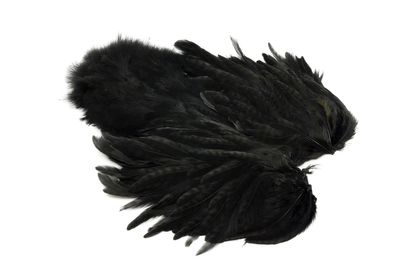 You added <b><u>Whiting Rooster Softhackle W Chickabou SH/C - Black</u></b> to basket.