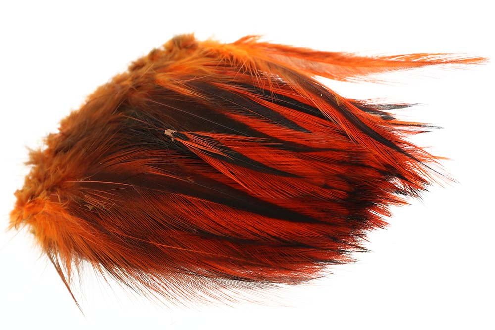 Hane Hackler Badger - Burnt Orange
