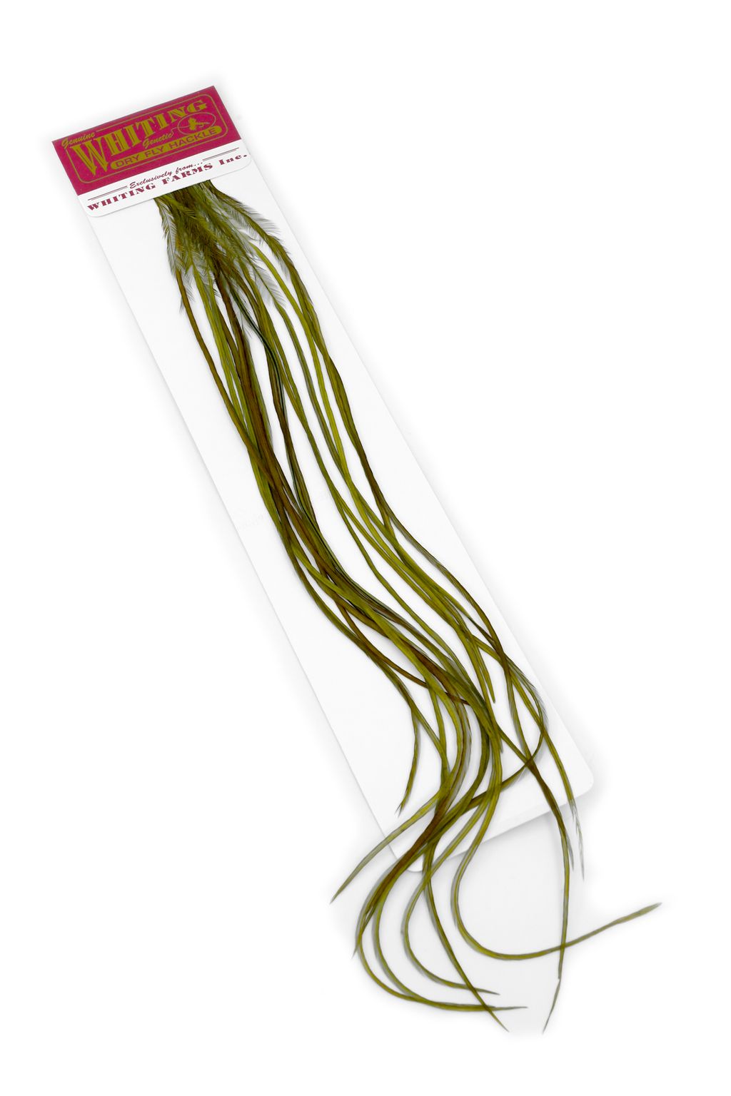 Whiting 100 Pack - Dk Olive Perfekt til flatwing tobis