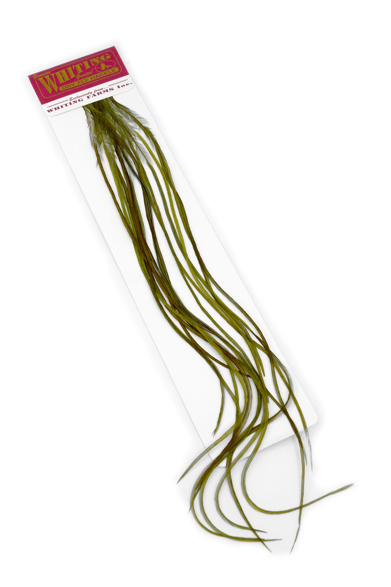 Whiting 100-pk – Size 20 â€“ dealerweb-cms-0f4826c9-21fe-411a-a2a9-4dac7c23319f.jpg