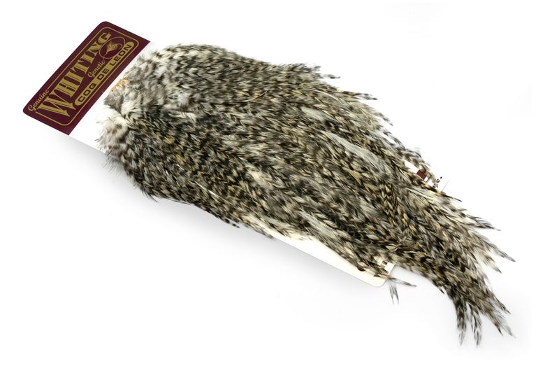 Whiting Coq de Leon Rooster Saddle – Bronze â€“ dealerweb-cms-1dbbbc97-6332-4890-b9a0-954439688ae1.jpg