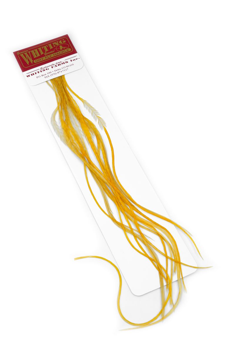 Whiting 100-pk – Size 14 â€“ dealerweb-cms-50f989b7-15e0-41d5-a7c8-4071152cf6be.jpg