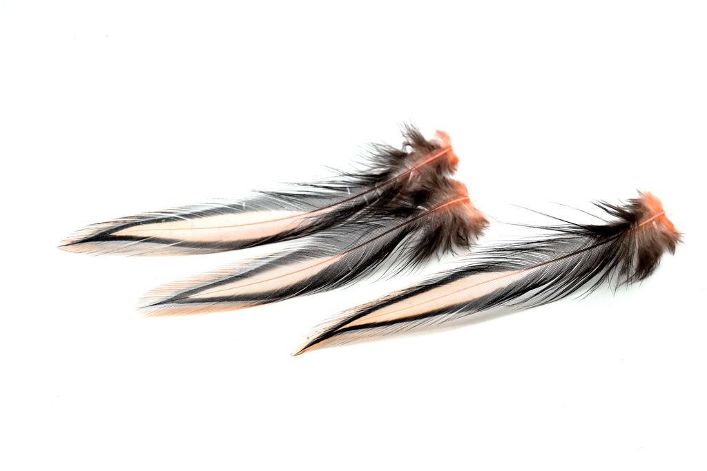 Whiting American Rooster Cape - Badger dyed Salmon Pink