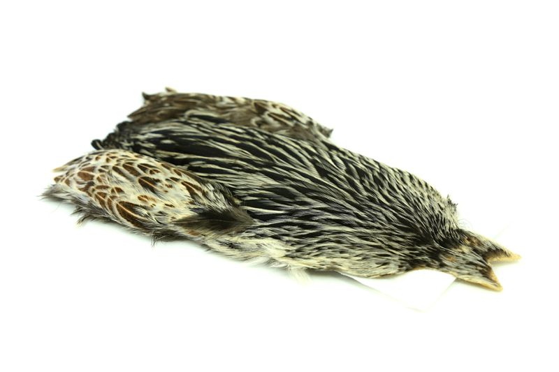 Whiting 4 B's Hen Cape â€“ dealerweb-cms-8c24c17c-0d90-4f4e-884d-2cacb0c1f136.jpg