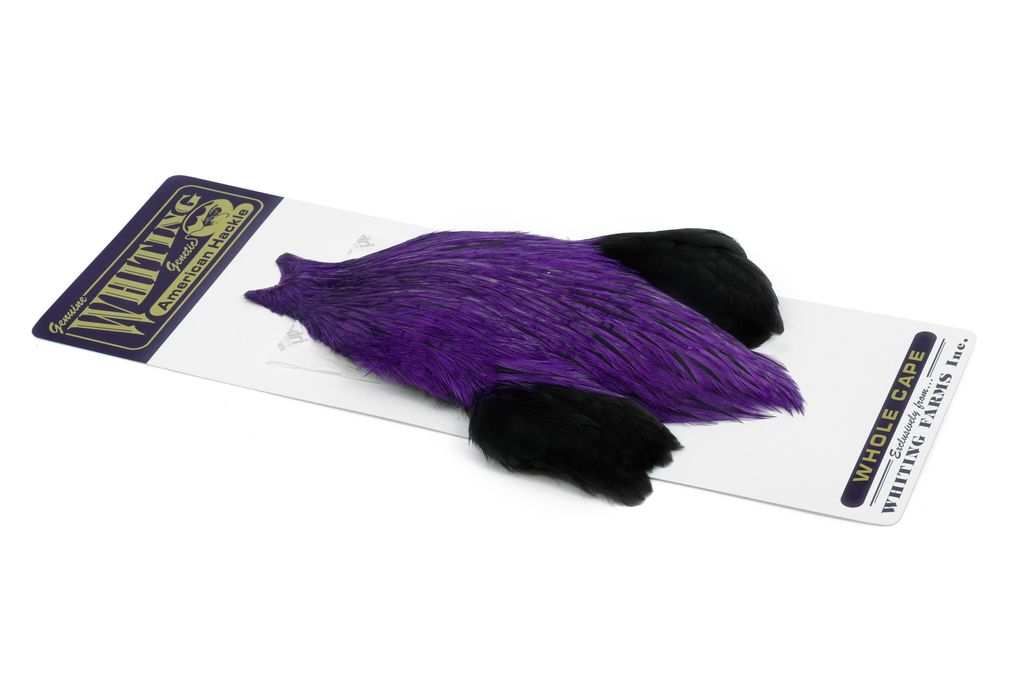 Whiting American Rooster Cape - Badger dyed Purple