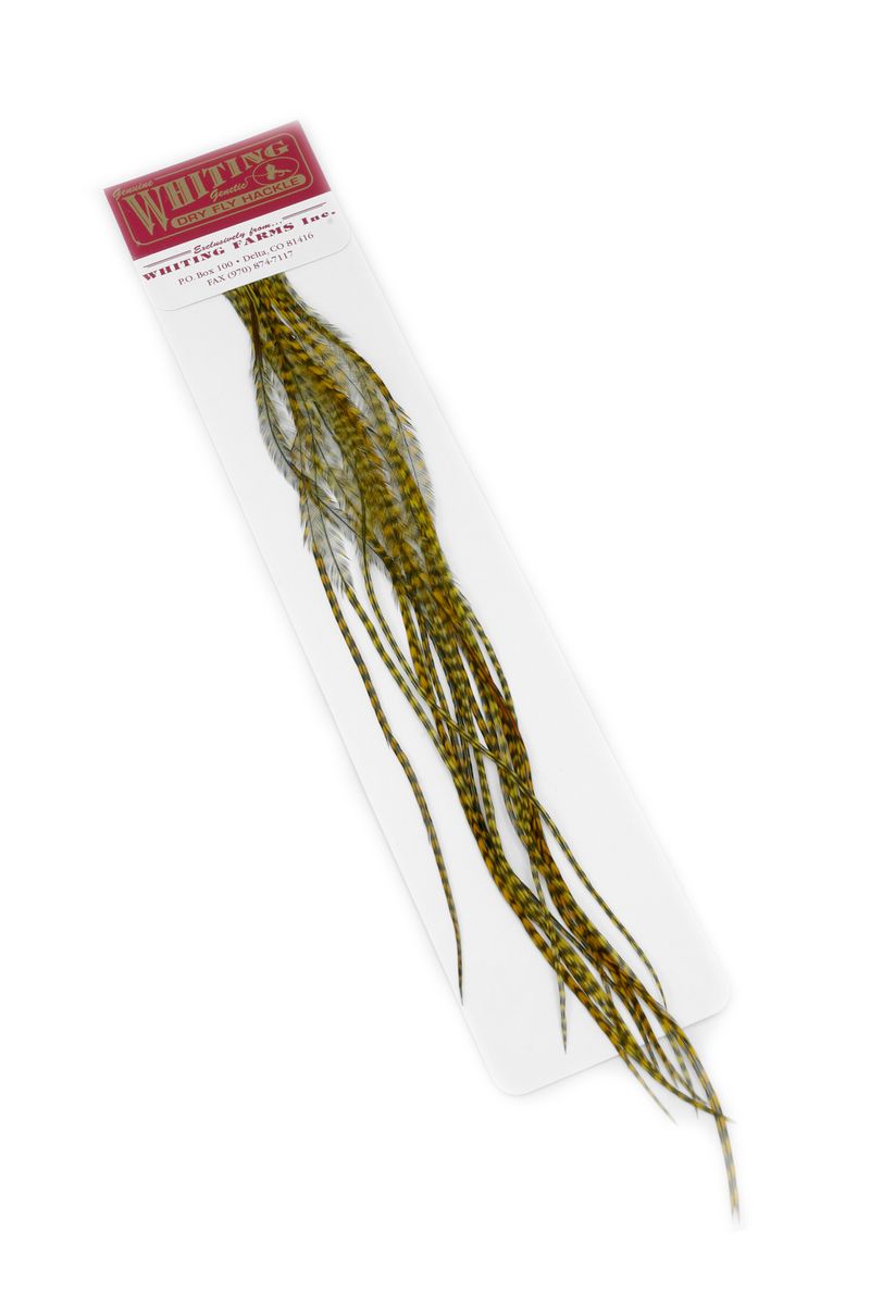Whiting 100-pk – Size 18 â€“ dealerweb-cms-adcb3162-ee19-482e-a349-62556af78ce0.jpg