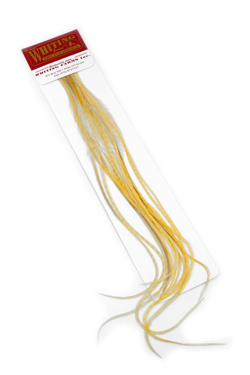 Whiting 100-pk – Size 20 â€“ dealerweb-cms-b61c3882-d083-4956-a493-642c8820f0f3.jpg