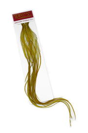 Whiting 100 Pack - Golden Olive Perfekt til flatwing tobis (Copy)