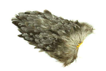 You added <b><u>4B Whiting Hen Soft Saddle - Dark Dun</u></b> to basket.