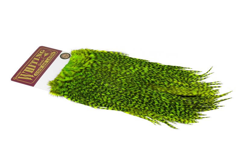Whiting Coq de Leon Rooster Saddle – Bronze â€“ dealerweb-cms-c8483275-8396-4439-8a29-238f352f41cb.jpg