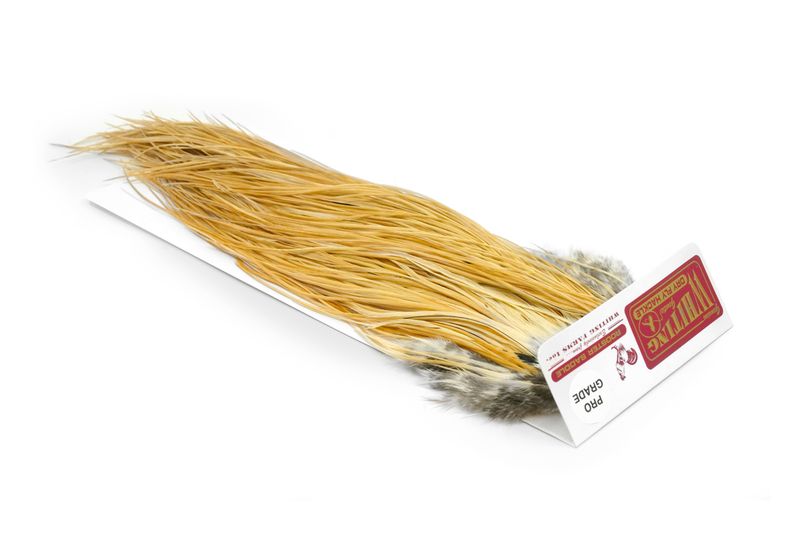 Whiting Rooster Saddle – Pro Grade â€“ dealerweb-cms-e38caf87-42e0-4af7-8619-10f6bccb8a3a.jpg