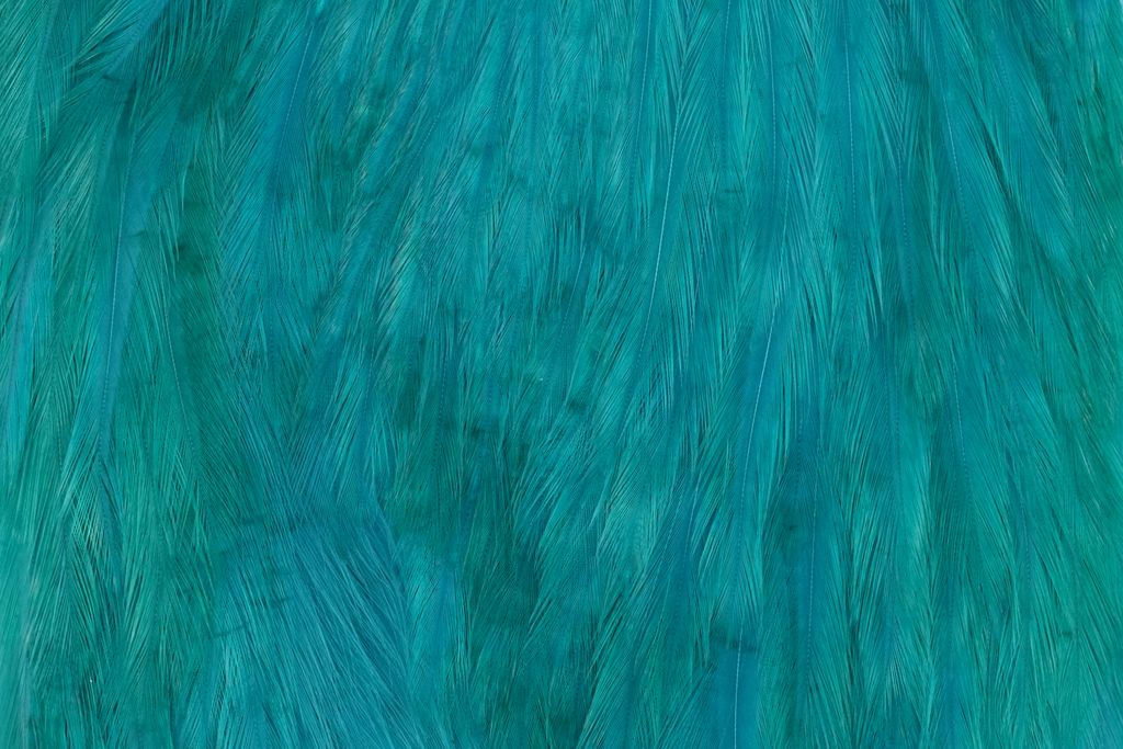 Whiting American Rooster Cape - Teal Blue