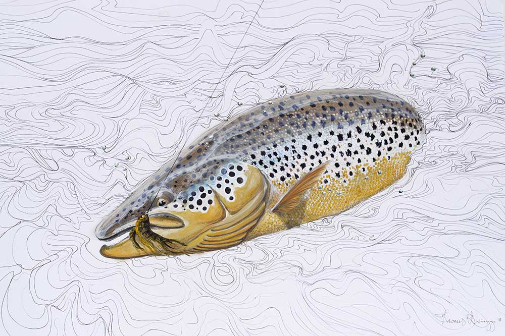 Thomas Weiergang original A2 - Havørred 2