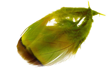 Du tilføjede <b><u>French Partridge - Olive</u></b> til kurven.