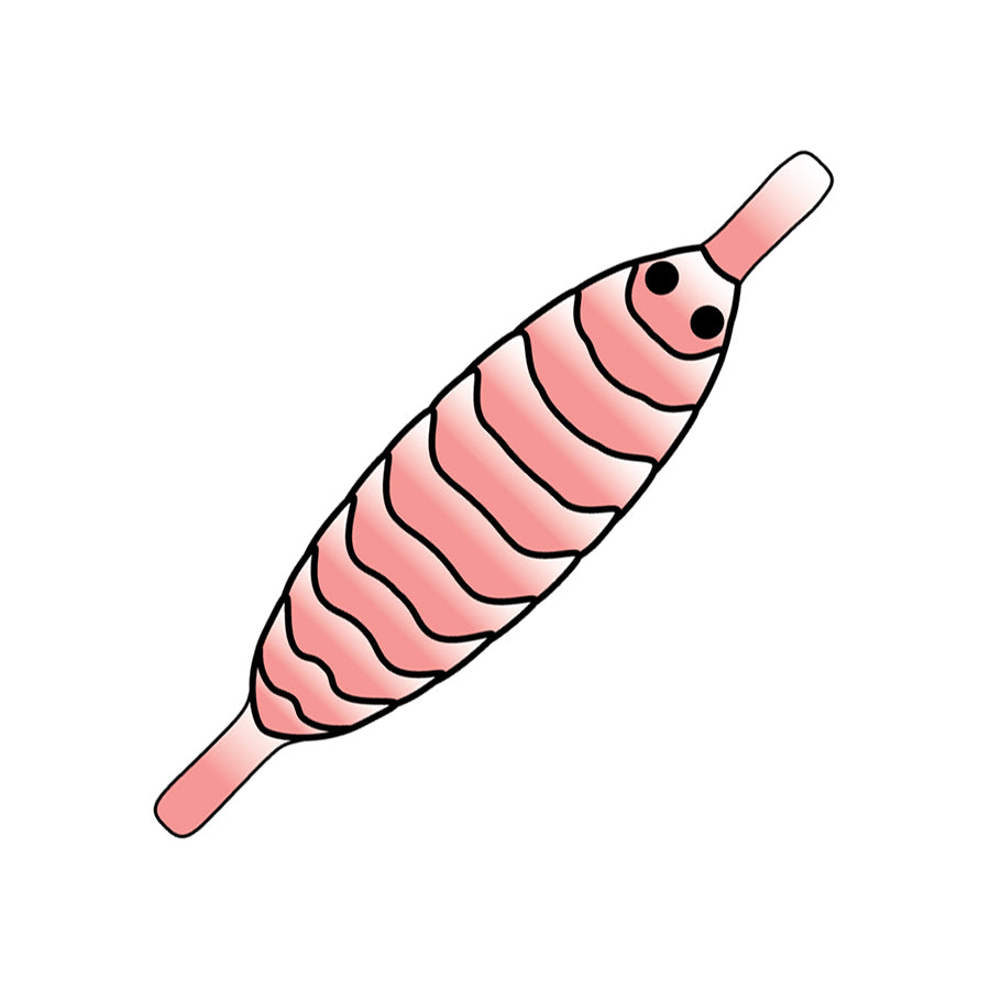 Pro Gammarus skjold - Shell Pink