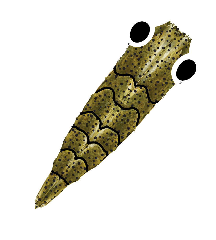 Pro GEN2 Shrimp shell - Brown Olive