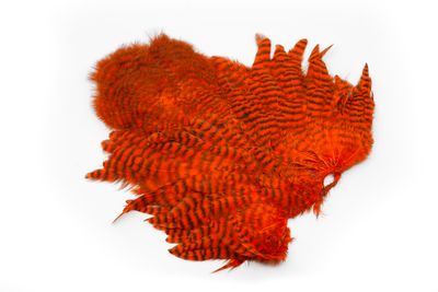 You added <b><u>Whiting Rooster Softhackle W Chickabou SH/C - Grizzly dyed Orange</u></b> to basket.