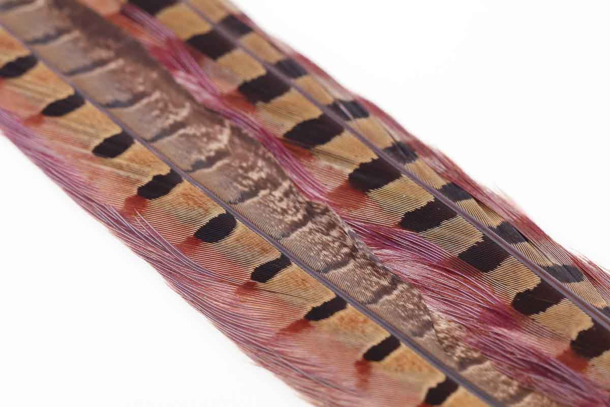 Ringneck Pheasant tail 1 Pair - Rusty Brown