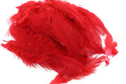 Schlappen #M - Red