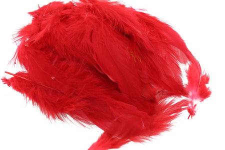 You added <b><u>Slippers #M - Red</u></b> to basket.