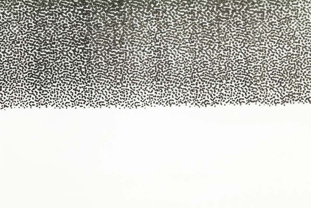 Thin Skin Fly Specks - Clear/ Black