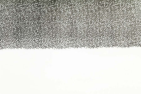 You added <b><u>Thin Skin Fly Specks - Clear/ Black</u></b> to basket.