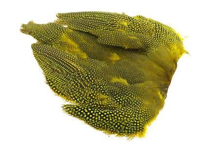 You added <b><u>Guinea fowl Full Skin - Yellow</u></b> to basket.