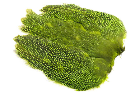 You added <b><u>Guinea fowl Full Skin - Chartreuse</u></b> to basket.