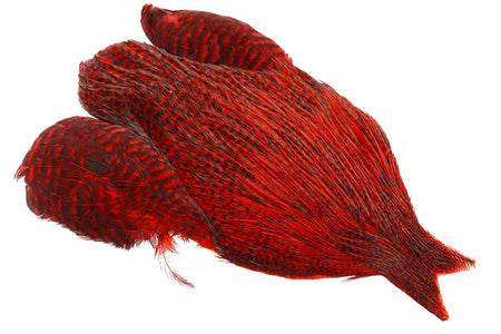 You added <b><u>4B Whiting Rooster Cape - Grizzly Red</u></b> to basket.