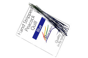 Hand Stripped Peacock Quill - Blue