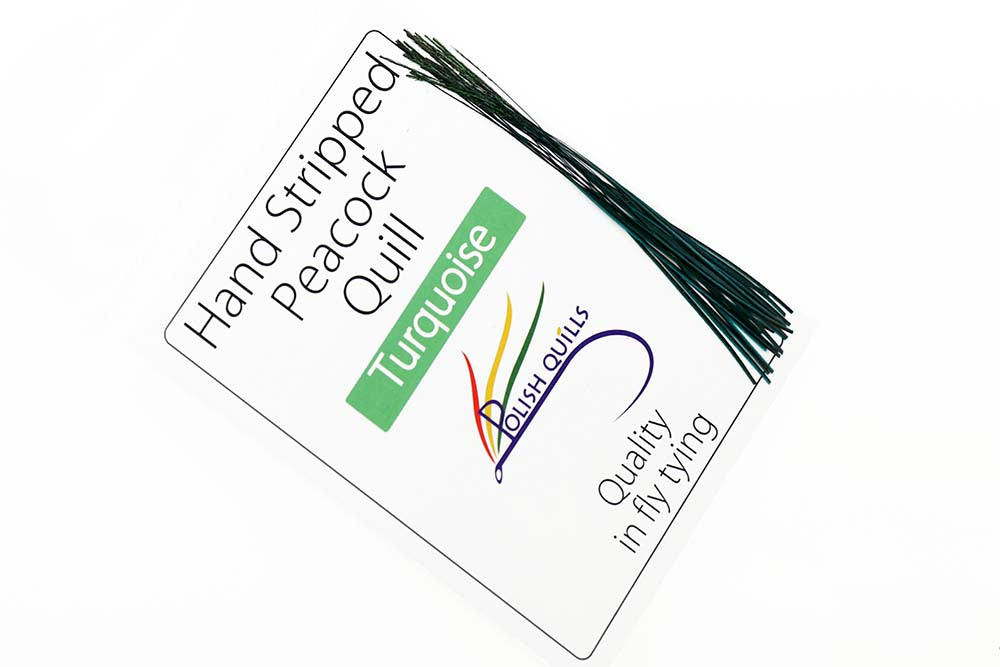 Hand Stripped Peacock Quill - Turquoise
