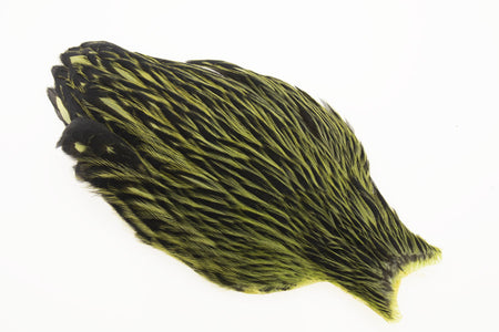 You added <b><u>Whiting American Hen Cape Black Laced - Olive</u></b> to basket.