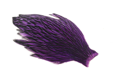 You added <b><u>Whiting American Hen Cape Black Laced - Purple</u></b> to basket.