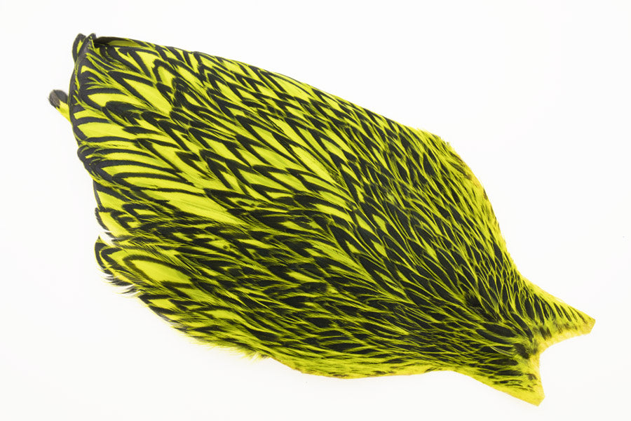Whiting American Hen Cape Black Laced -  Fl. Yellow Chartreuse