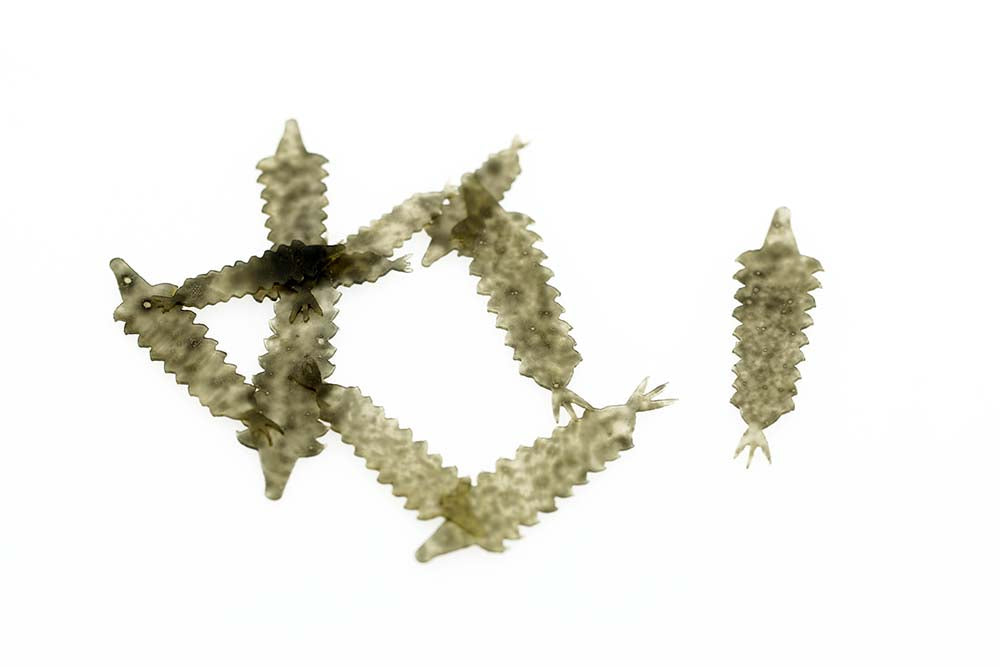 Kiley's Damsel Tailz - Black