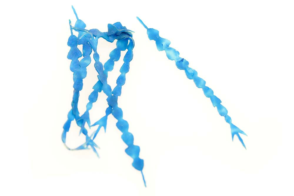 Kiley's Dragon fly Tailz - Damsel Blue