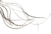 Whiting 100 Pack - Grizzly