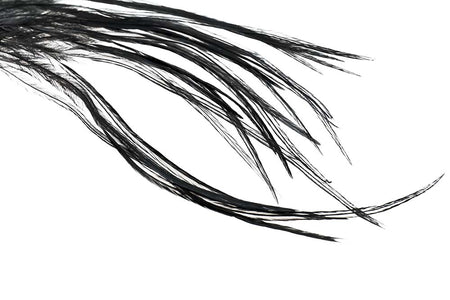 Du tilføjede <b><u>Whiting 100 Pack - Black</u></b> til kurven.