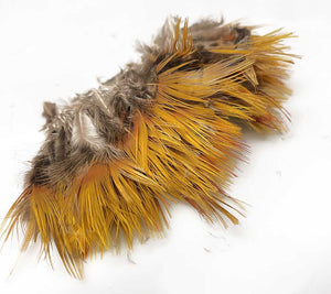 Golden Pheasant - Loose body feathers (Yellow)