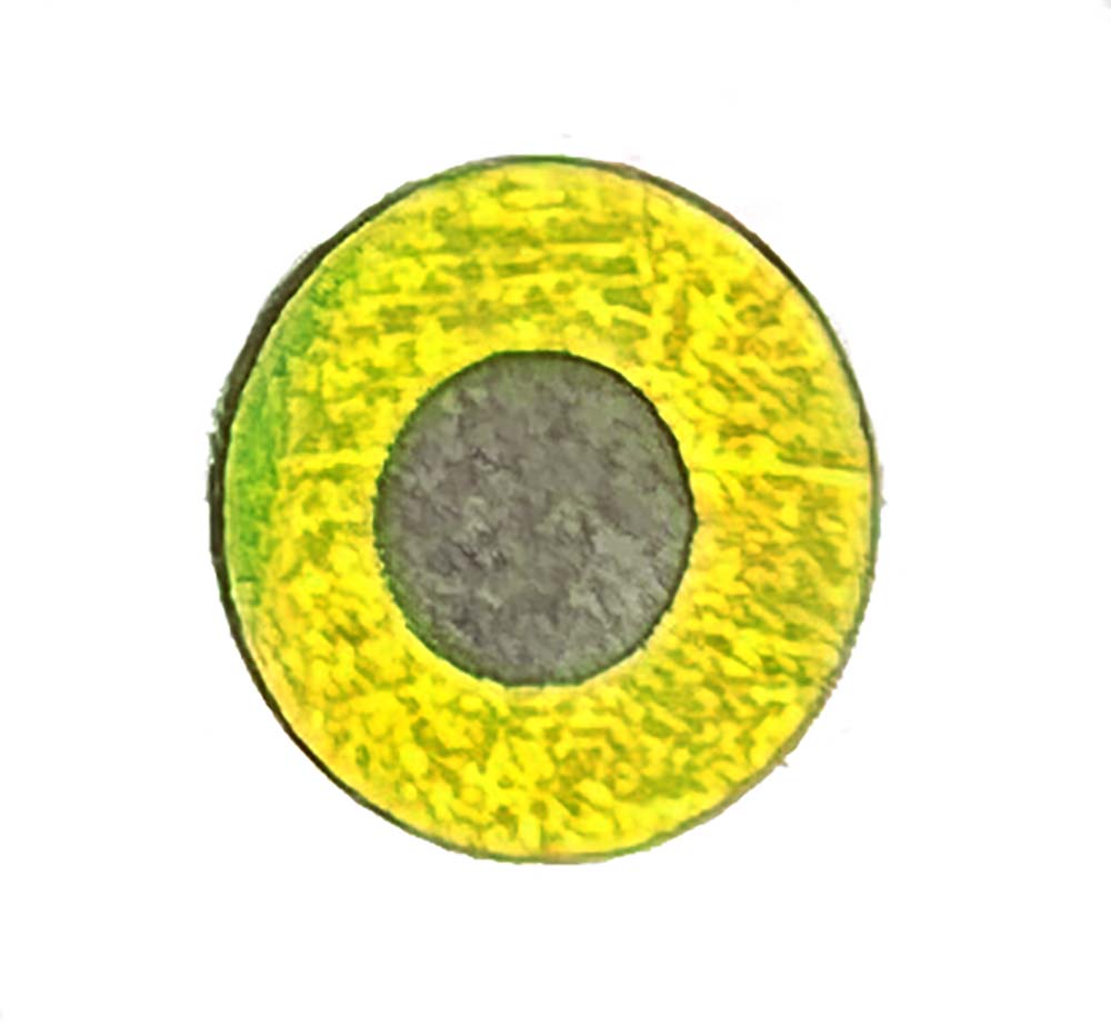 Flat Eyes - Yellow/Chartreuse