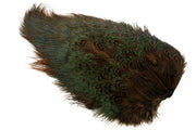 Ringneck Rump Patch - Chocolate Brown