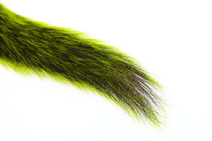 Silver Tip Squirrel Tail  - Fluo Chartreuse