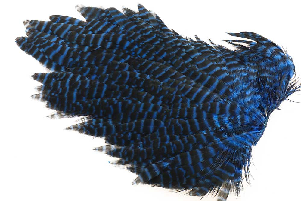 Ewing #1 Hen Saddle Grizzly Kingfisher 