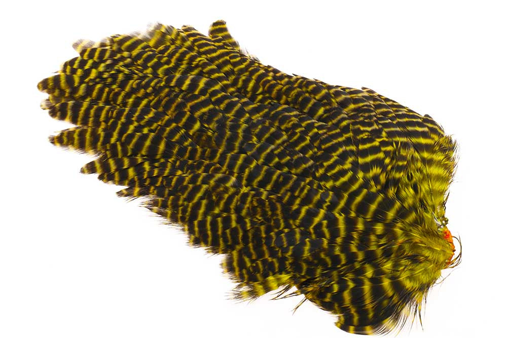 Ewing #1 Hen Saddle Grizzly Yellow