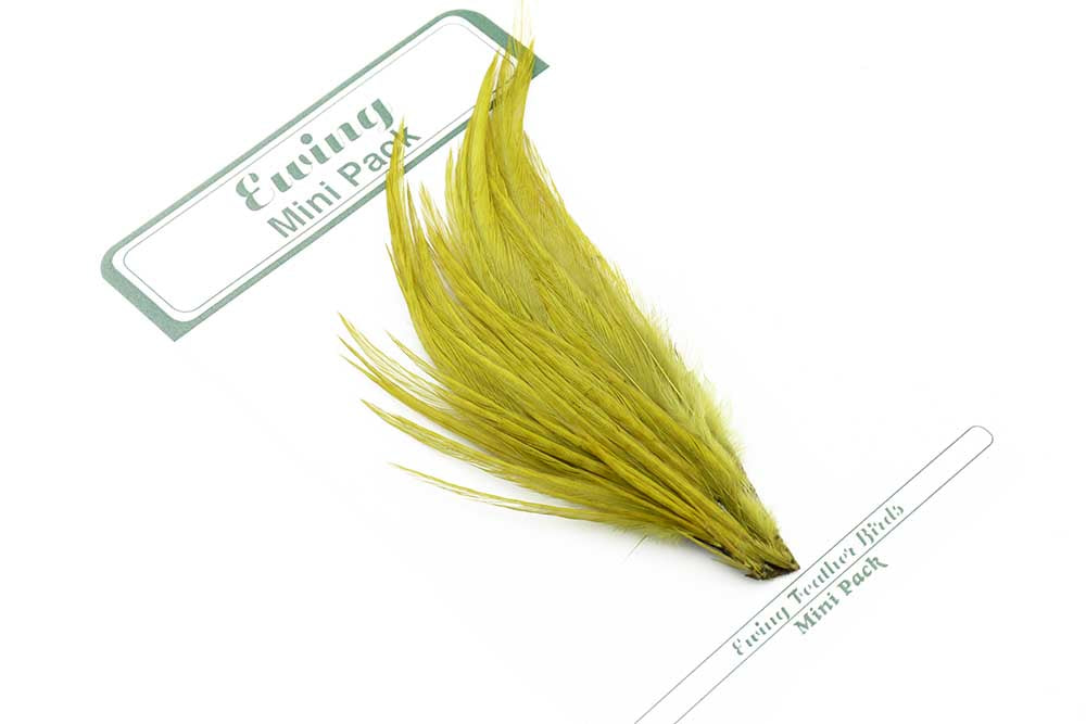 Ewing 12's & 14's  Dry Fly Mini Pack Olive