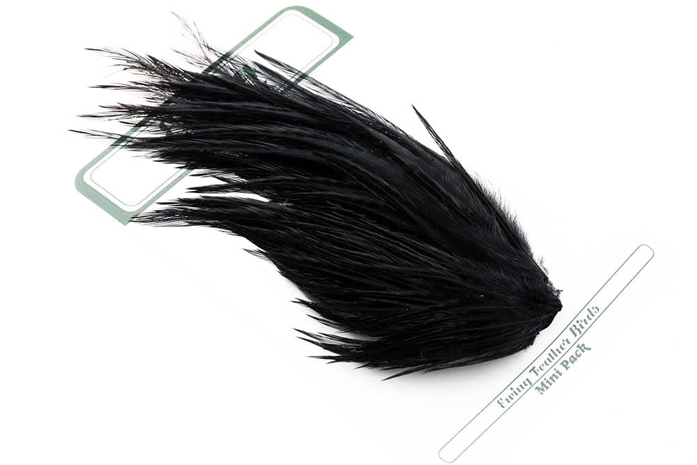Ewing 12's & 14's Dry Fly Mini Pack Black