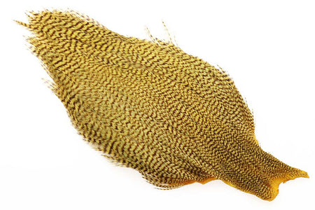 You added <b><u>Ewing #1 Cape Bleached Golden Olive</u></b> to basket.